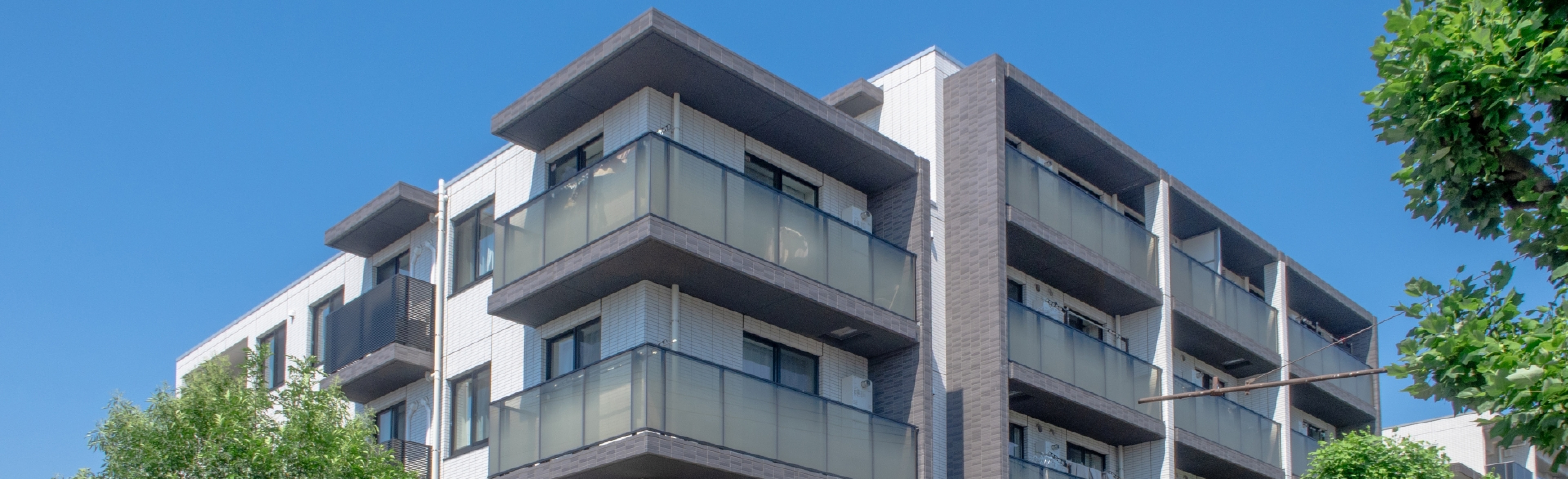 ファーストビュー画像