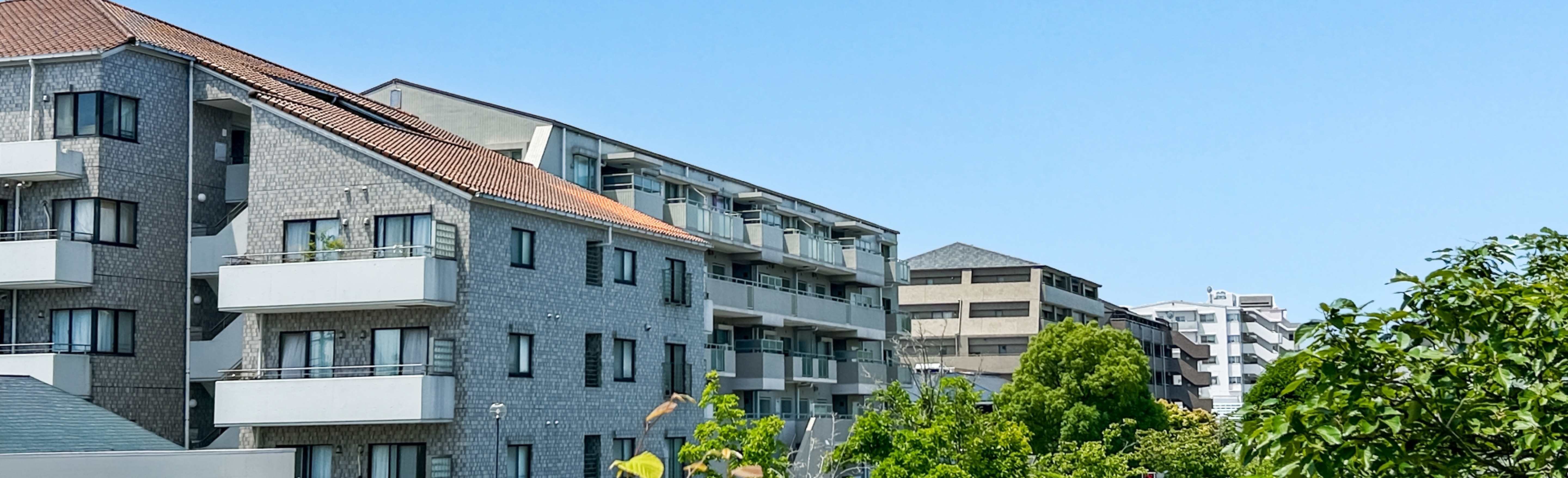 ファーストビュー画像