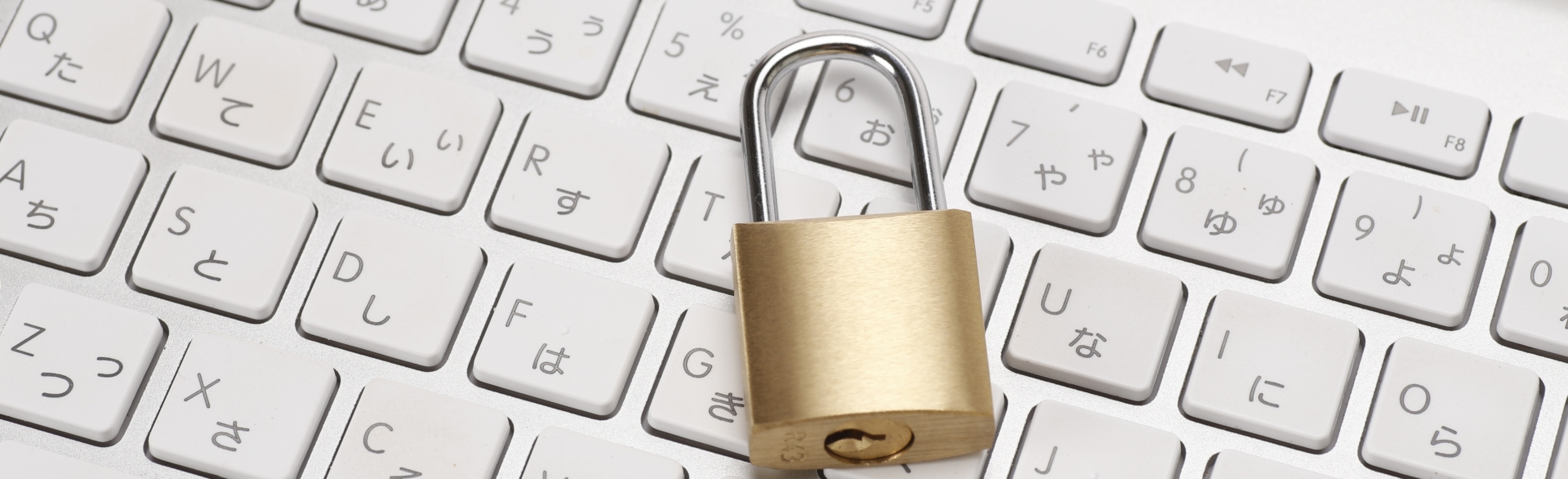 ファーストビュー画像