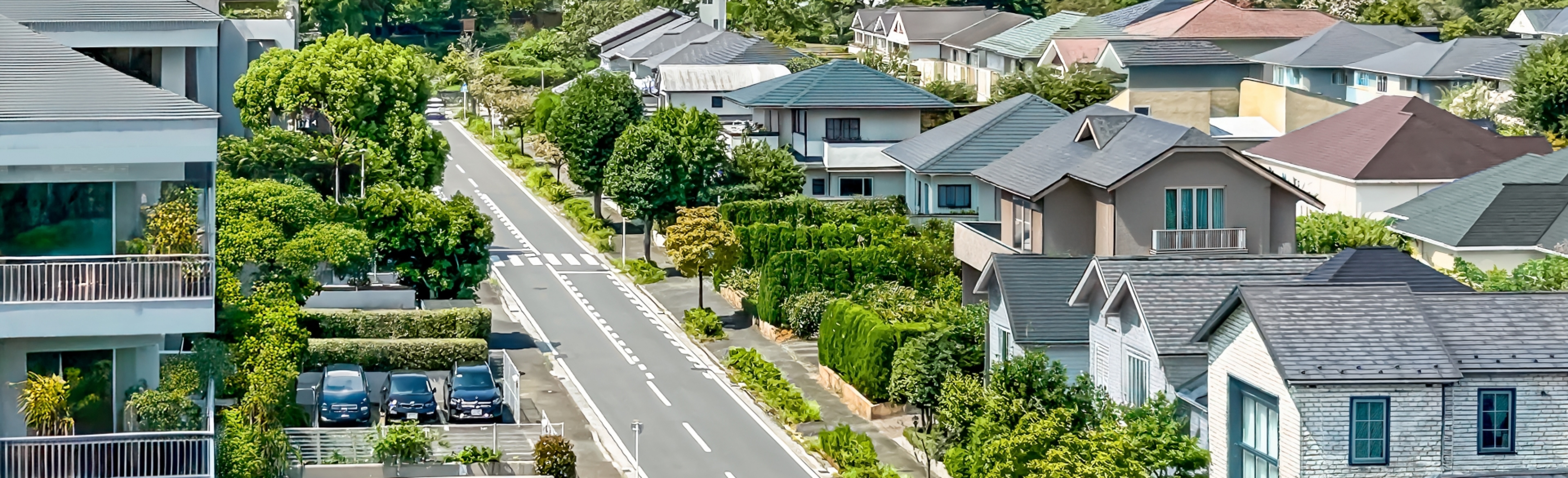 ファーストビュー画像